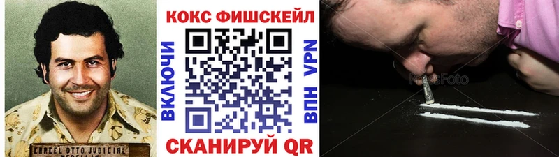 где купить наркоту  Светлогорск  COCAIN FishScale 