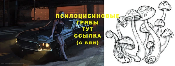 дживик Богданович