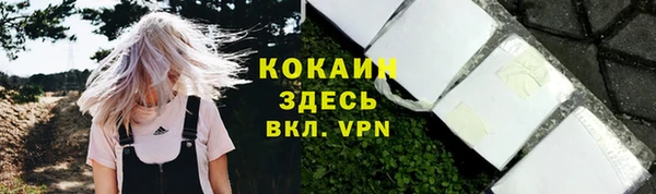 дживик Богданович