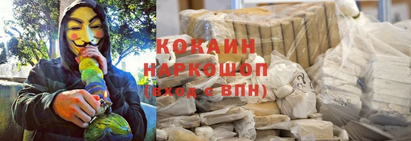стаф Богородск