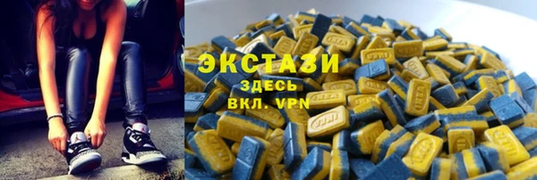 стаф Богородск