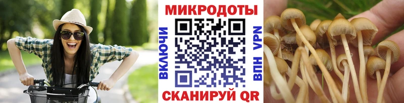 OMG как зайти  Светлогорск  Галлюциногенные грибы Psilocybine cubensis 